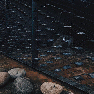 〈一千零一夜 Harem〉限量版画 作者微信见专辑描述 购买链接见下