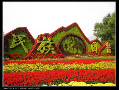 绿雕 五色草造型 立体花坛