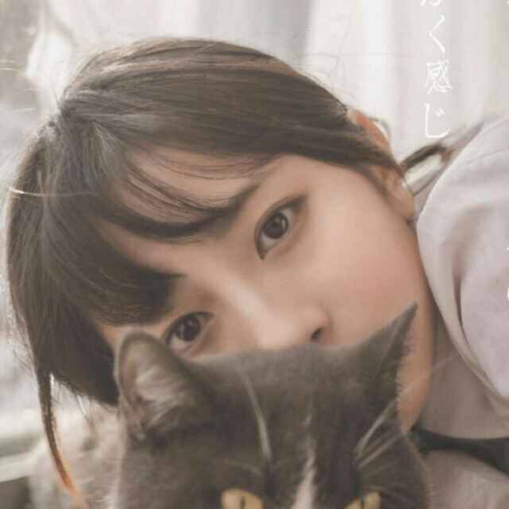 猫和女孩