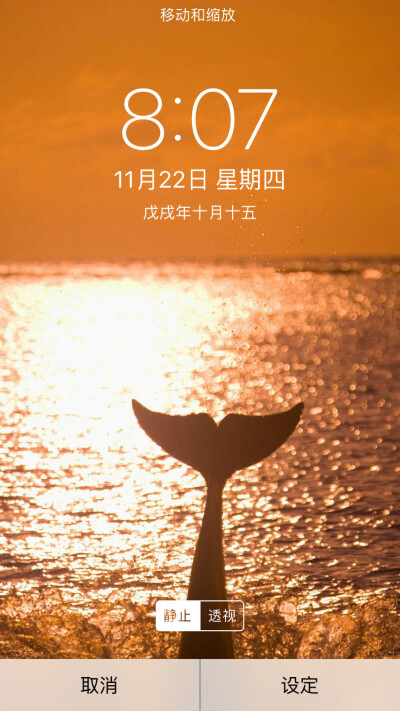 海豚湾壁纸