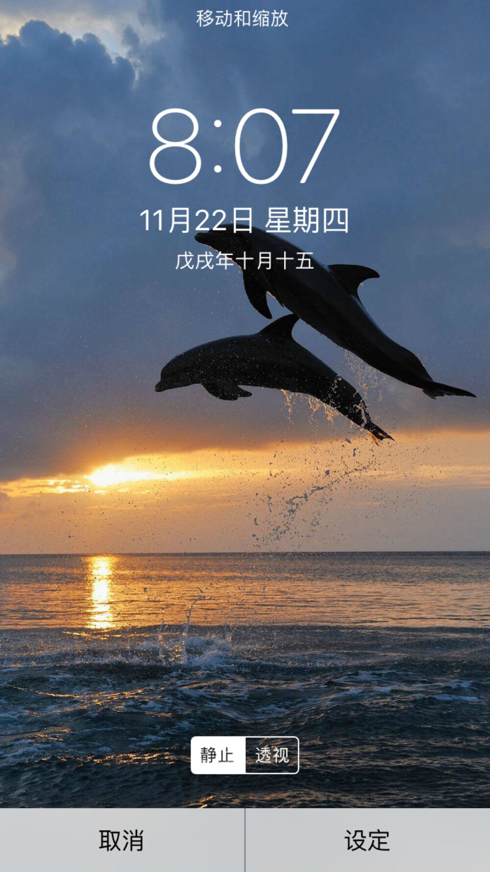 海豚湾壁纸