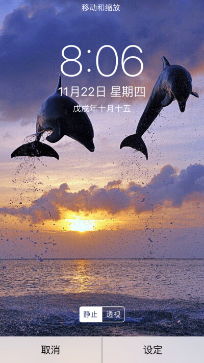 海豚湾壁纸