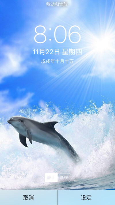 海豚湾壁纸