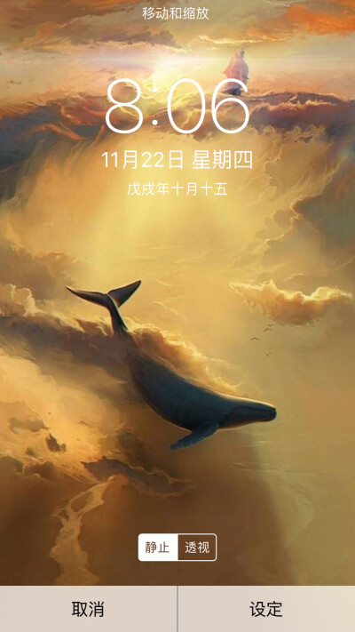 海豚湾壁纸