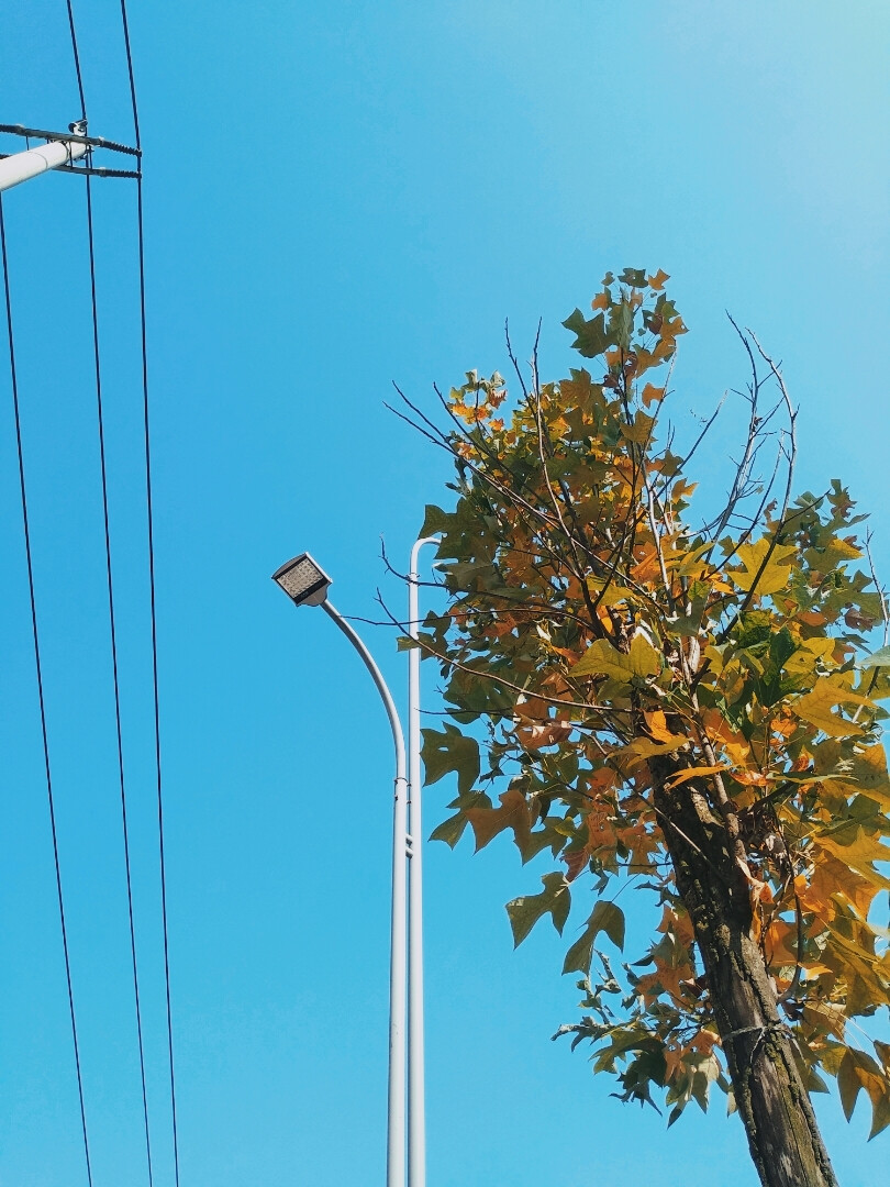 见到阳光的时候想到的是你在身边那该有多好