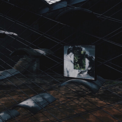 〈一千零一夜 Harem〉限量版画 作者微信见专辑描述 购买链接见下