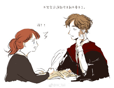 神奇动物在哪里