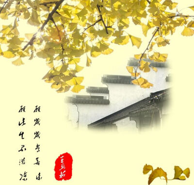 自制海报（海报素材来自网络侵删）