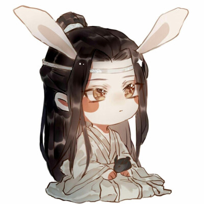 魏无羡 蓝忘机 金凌 魔道祖师