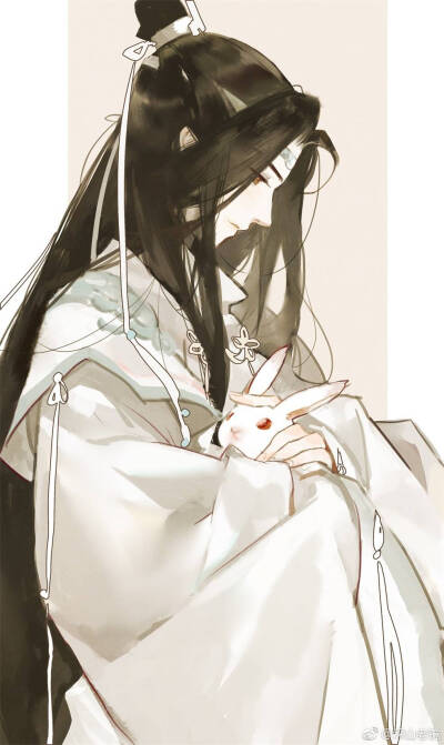 魏无羡 蓝忘机 金凌 魔道祖师