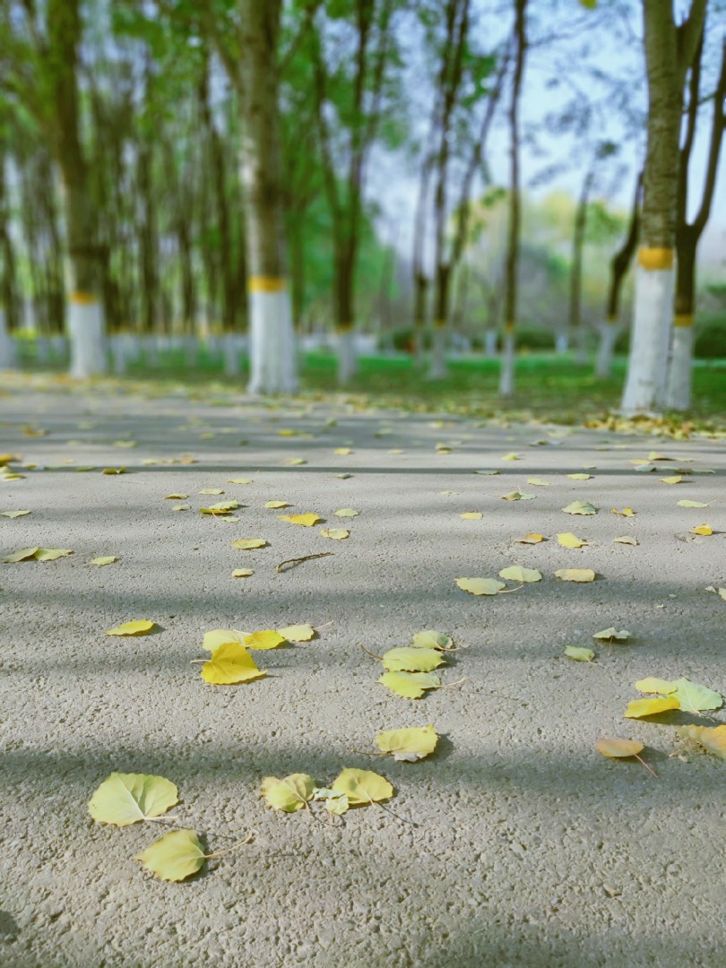 將府公園