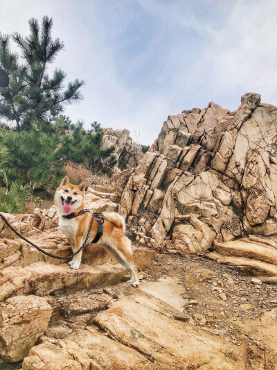 小丸子