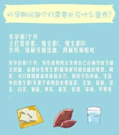 怀孕期间每个月需要补充什么营养