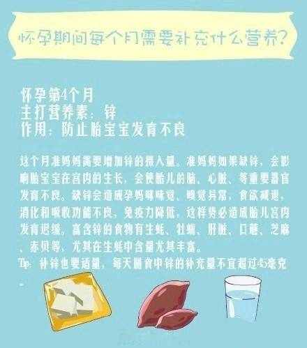 怀孕期间每个月需要补充什么营养