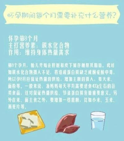 怀孕期间每个月需要补充什么营养