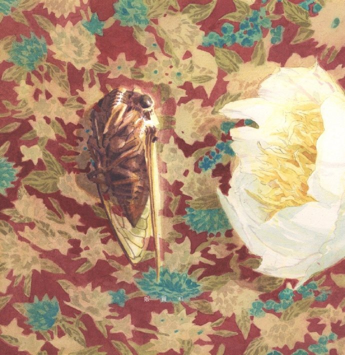 分享图片 ​​​​