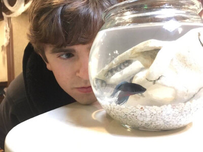 宝贝海默（Freddie Highmore