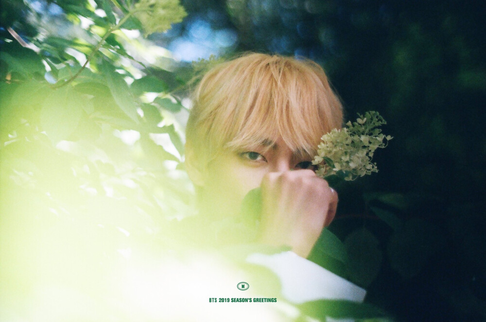 BTS⁠ ⁠ 2019 SEASON'S GREETINGS Preview