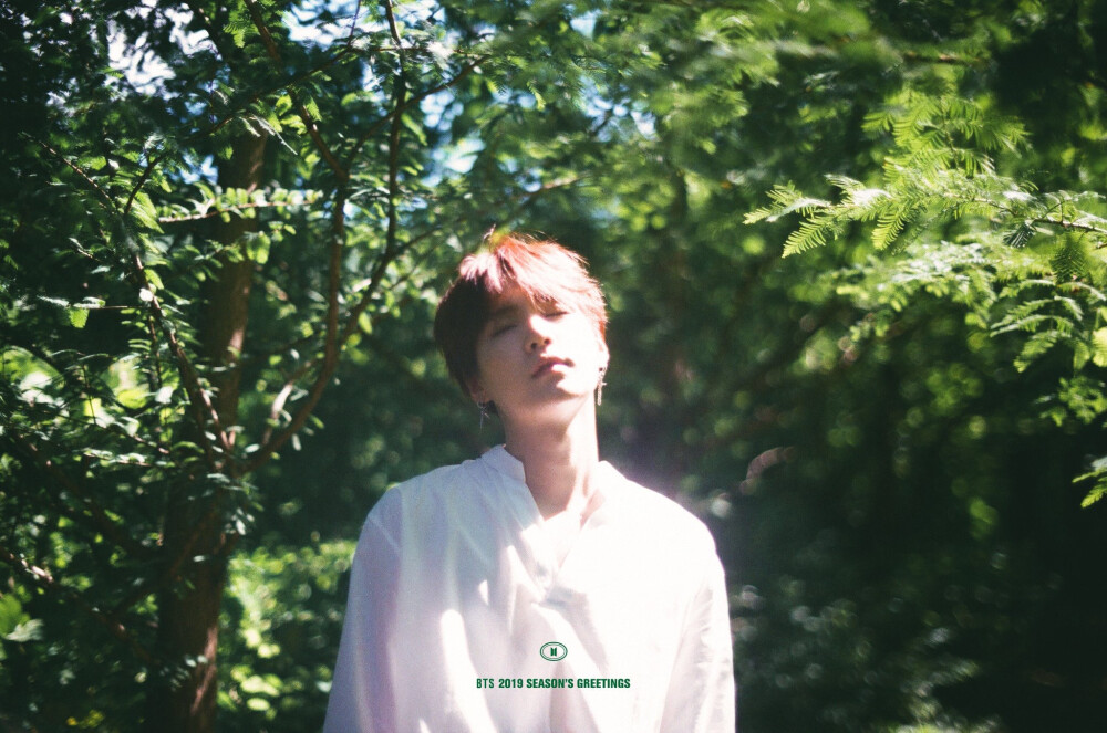 BTS⁠ ⁠ 2019 SEASON'S GREETINGS Preview