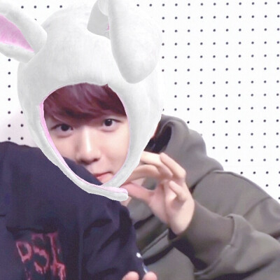 边伯贤头像/by元气贩售