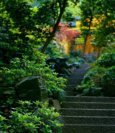 细雨湿流光，芳草年年与恨长。烟锁凤楼无限事，茫茫。鸾镜鸳衾两断肠。魂梦任悠扬，睡起杨花满绣床。薄悻不来门半掩，斜阳。负你残春泪几行。---------------《南乡子·细雨湿流光》冯延巳