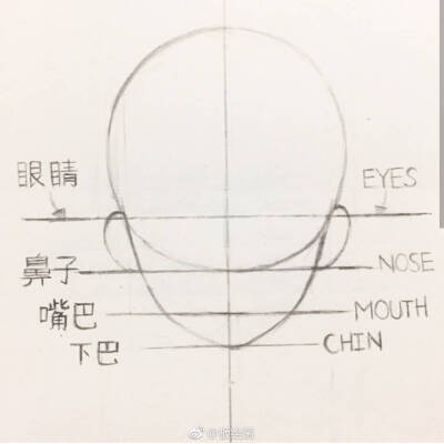 正面头部绘制方法