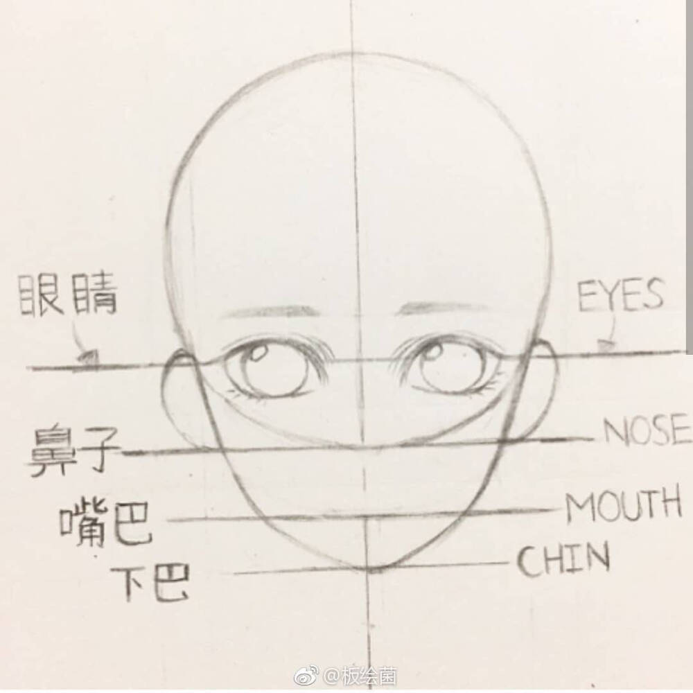 正面头部绘制方法