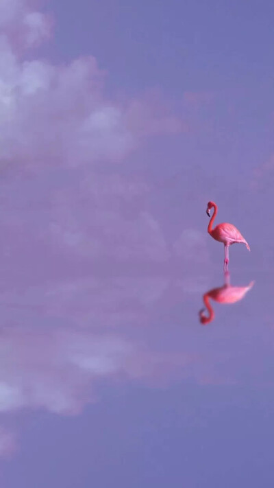 紫紫的很好看啊