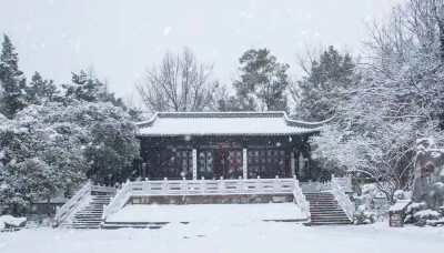 瑞雪飞琼瑶