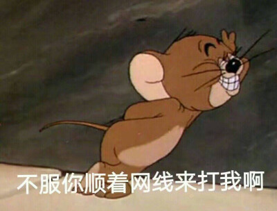 可爱