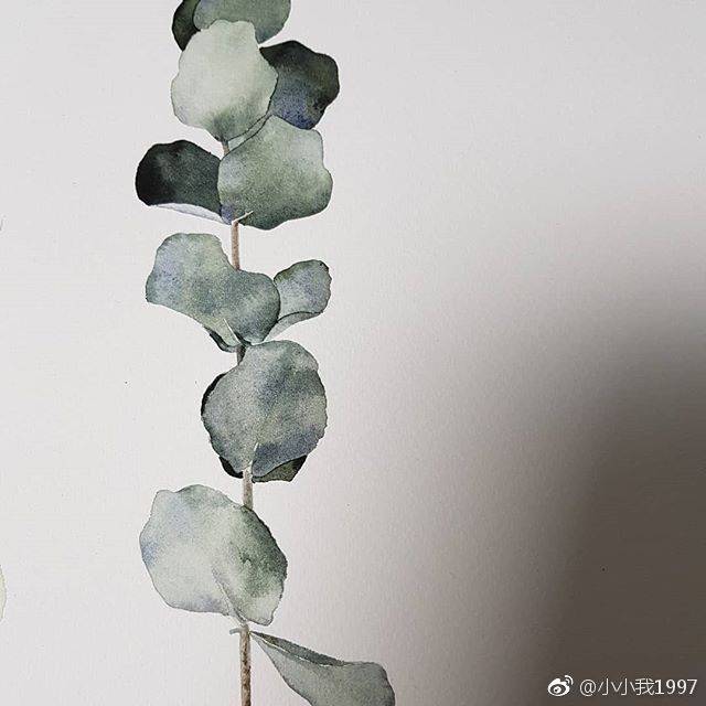 水彩绿植收藏