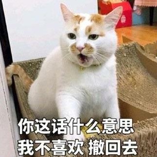 汤姆猫