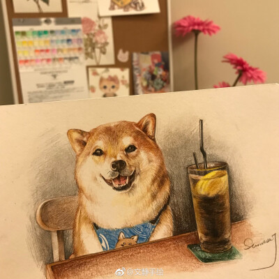 柴犬彩铅画