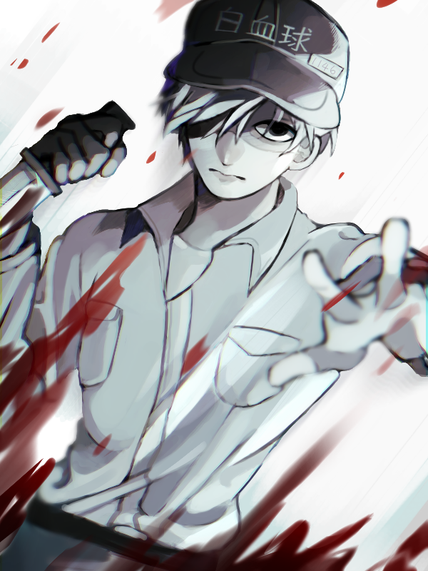 工作细胞白细胞