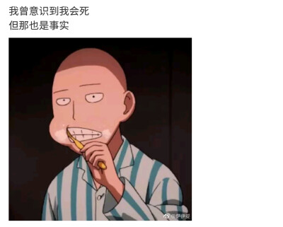 樱泪的心情日记