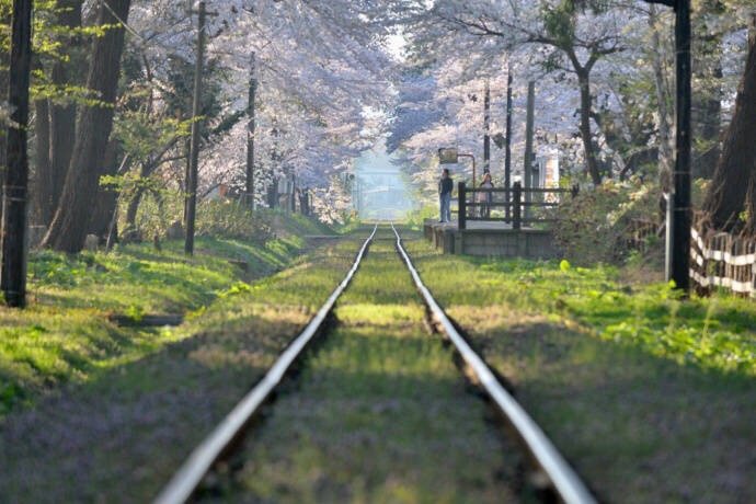 日本青森县的津轻铁道，想乘着小火车开往春天~by ShoShibata