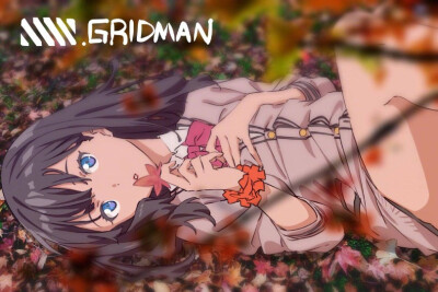 ssss.gridman