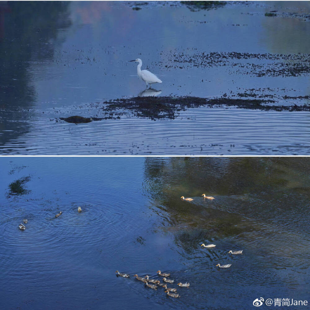 喜欢秋天，尤其是山村的秋天，喜欢她的内敛，成熟，隐忍，和孤寂。看似无情的季节，却收藏有万物的多情。
#恋上冬日##V影像力#
摄影师：@青简Jane ​