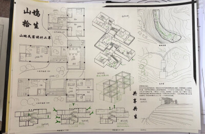 大三上建筑设计课程作业；宁波鄞州山地民宿设计二草