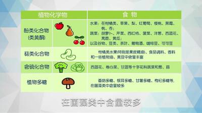 《吃货的营养学修养》