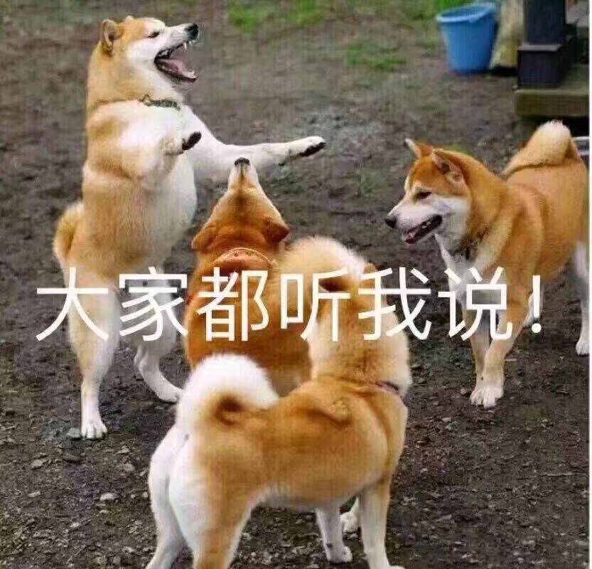 高糊表情包