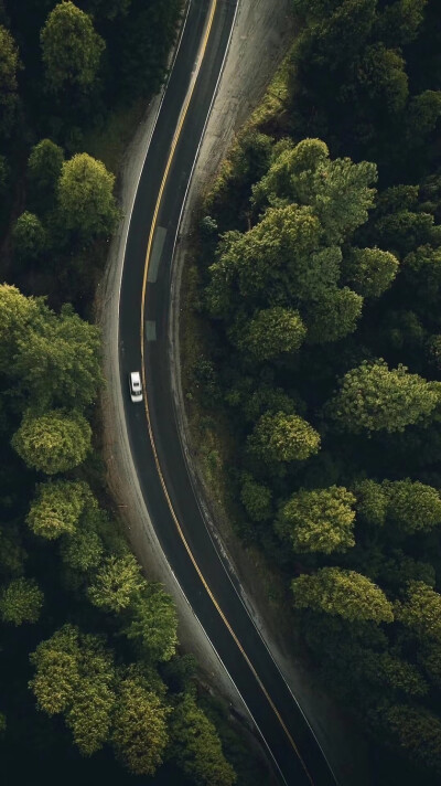 一列飞驰的火车，6个疲惫的旅人，画面中唯一的老者是僧侣，他在或坐或卧的旅人中挺拔禅坐。这张照片荣获了2017美国《国家地理》全球摄影大赛中国赛区人物类一等奖。
无论这个世界多么散漫，总还有人在保持一种姿…