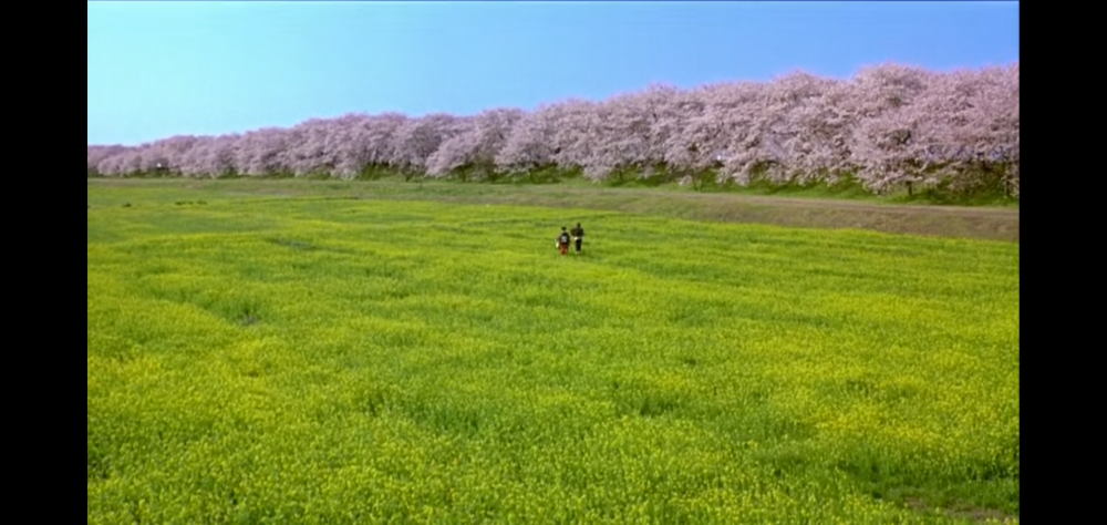 恶女花魁