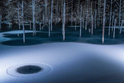 冬季的北海道美瑛青池夜景，见者好运❄️#北海道下雪#