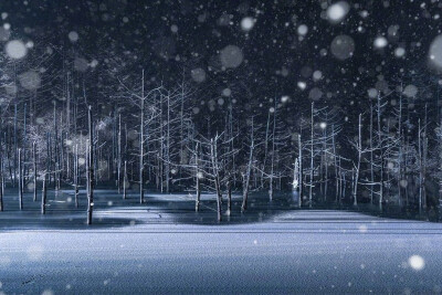 冬季的北海道美瑛青池夜景，见者好运❄️#北海道下雪#