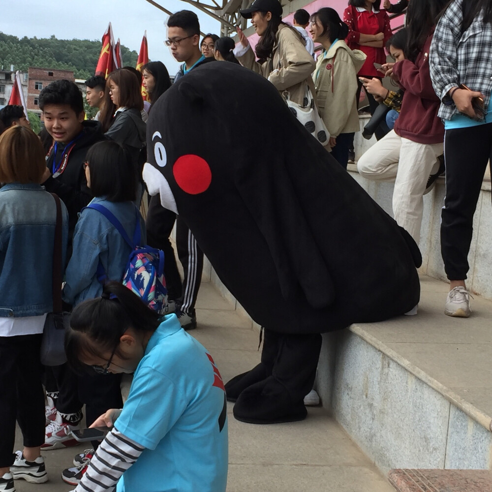 颓废熊本熊