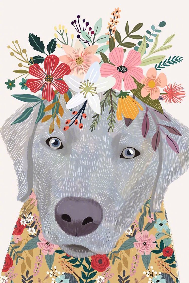 来自西班牙插画师 mia charro 绘画作品 | www.miacharro.com