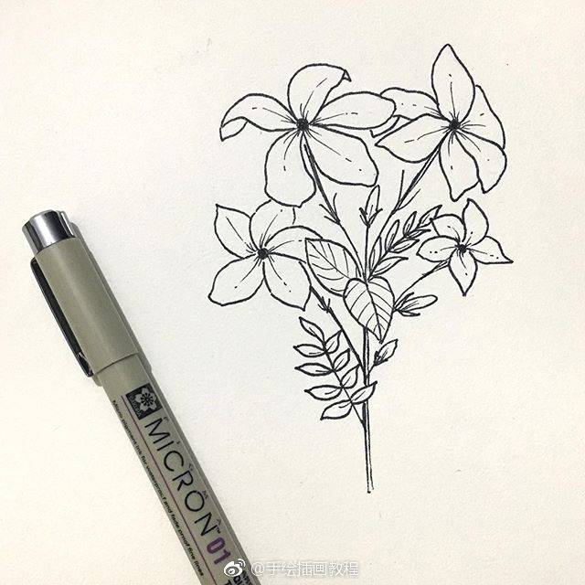 线描花卉