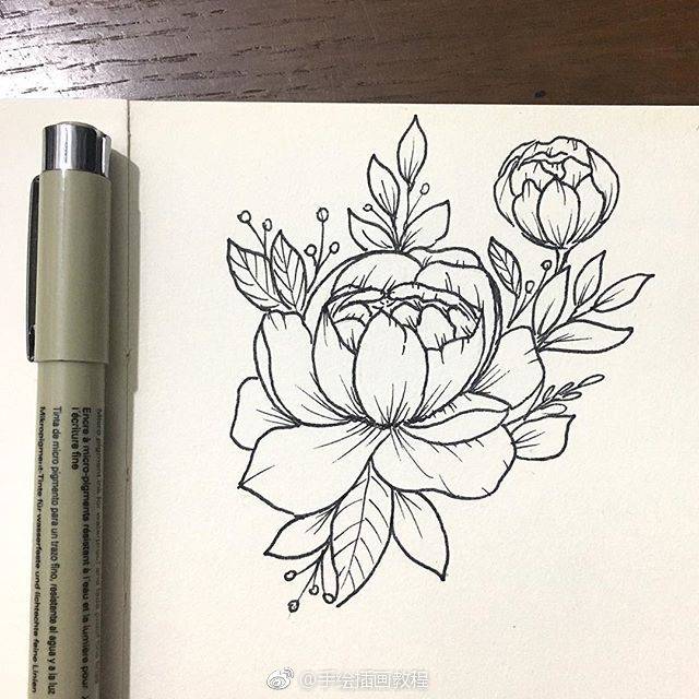 线描花卉