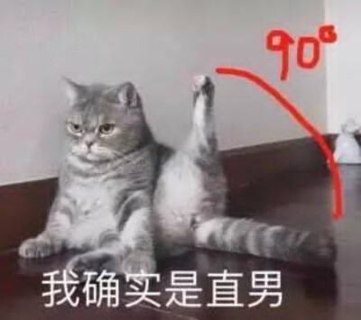 猫猫 表情 直男